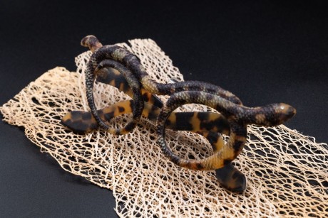 Au SILMO PARIS, le musée de Morez révèle son côté sauvage !
