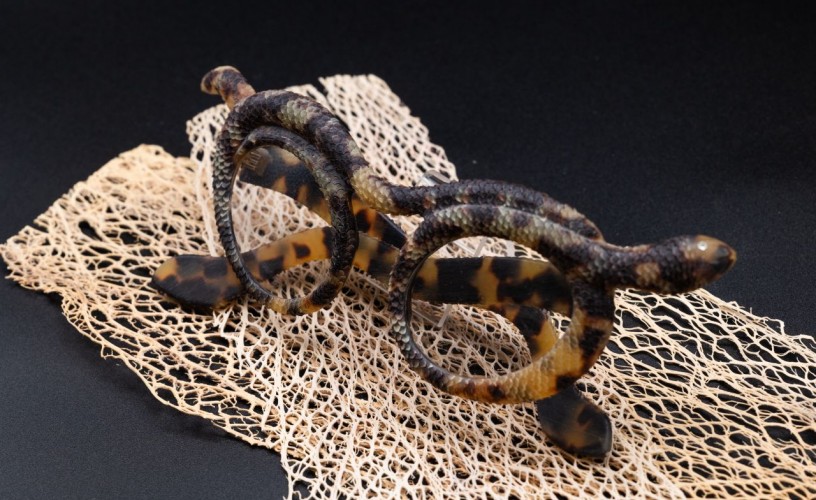 Au SILMO PARIS, le musée de Morez révèle son côté sauvage !